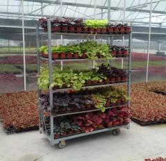 Danish Flower Trolley ,Danimarka çiçek arabası-ÖZEL ÜRETİM
