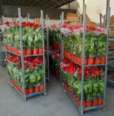 Danish Flower Trolley ,Danimarka çiçek arabası-ÖZEL ÜRETİM