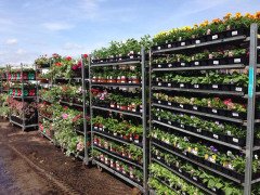 Danish Flower Trolley .Danimarka çiçek arabası-ÖZEL ÜRETİM