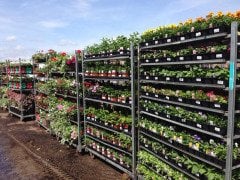 Danish Flower Trolley ,Danimarka Çiçek Arabası-ÖZEL ÜRETİM